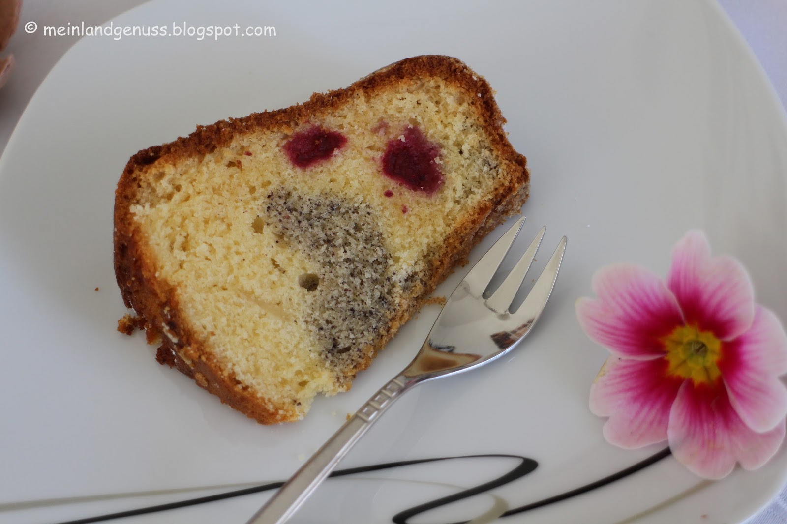 mein Land und Gartengenuss : Mohn-Marzipan-Guglhupf mit Himbeeren