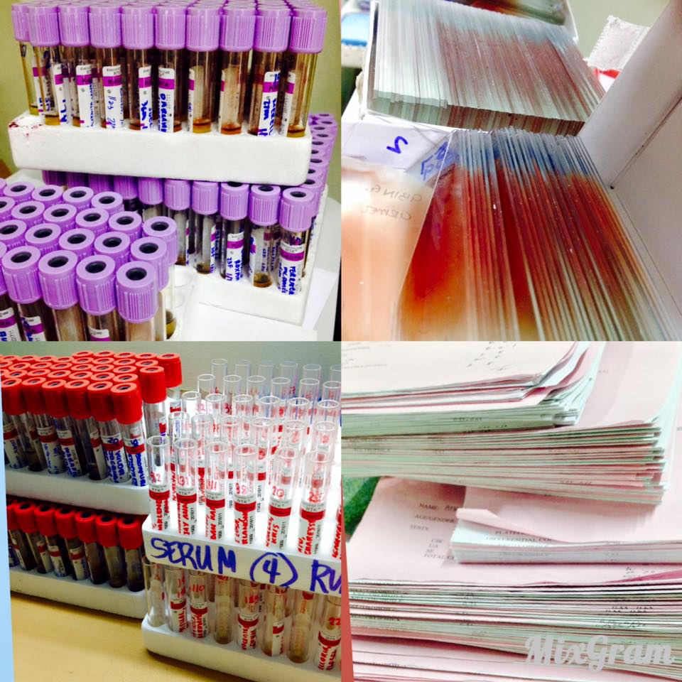 Cindy's Lab Life Working in a hospitalbased laboratory