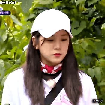 171117 정글의법칙 에이핑크 초롱이.gif | 인스티즈