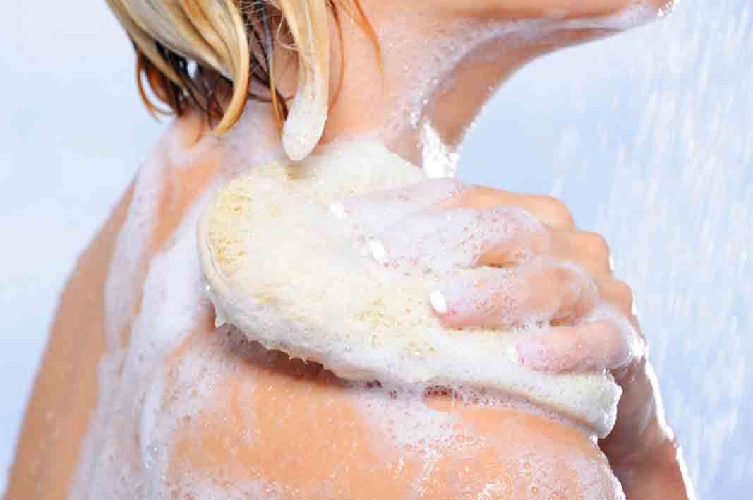 Benefits and Side Effect of Loofah Fruit for Human Healthy