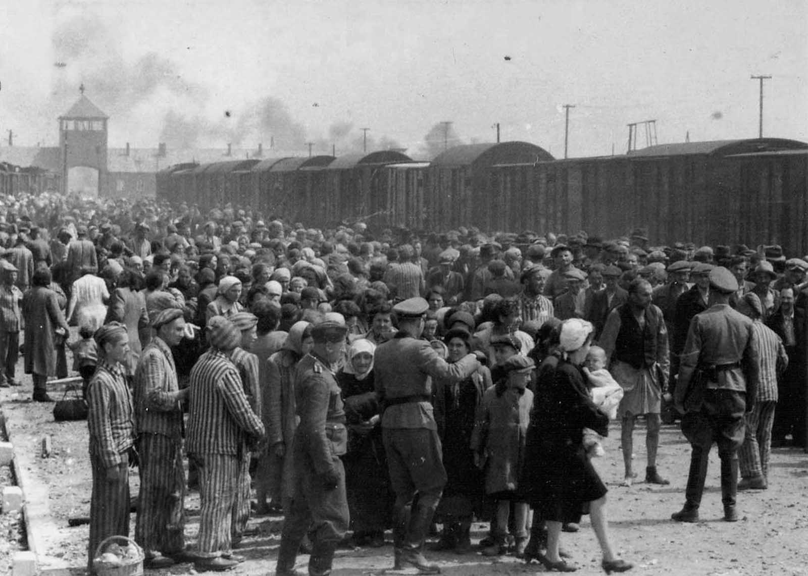 The arrival and processing of an entire transport of Jews from Carpatho-Ruthenia, a region annexed in 1939 to Hungary from Czechoslovakia, at Auschwitz-Birkenau extermination camp in Poland, in May of 1944. The picture was donated to Yad Vashem in 1980 by Lili Jacob.