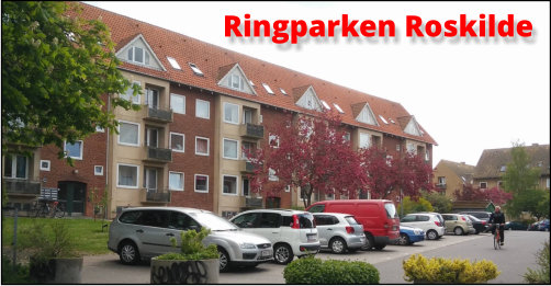 Bevar Ringparken i Roskilde