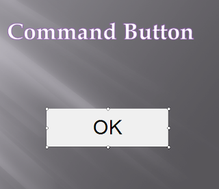 insert commandbutton tab developer