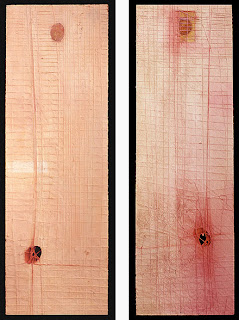 Skin/Flesh (frontside / backside), 1999. oil & mixed media on wood. 91.5 x 28.6 cm
