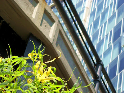 Alpha Ralpha Boulevard New York City