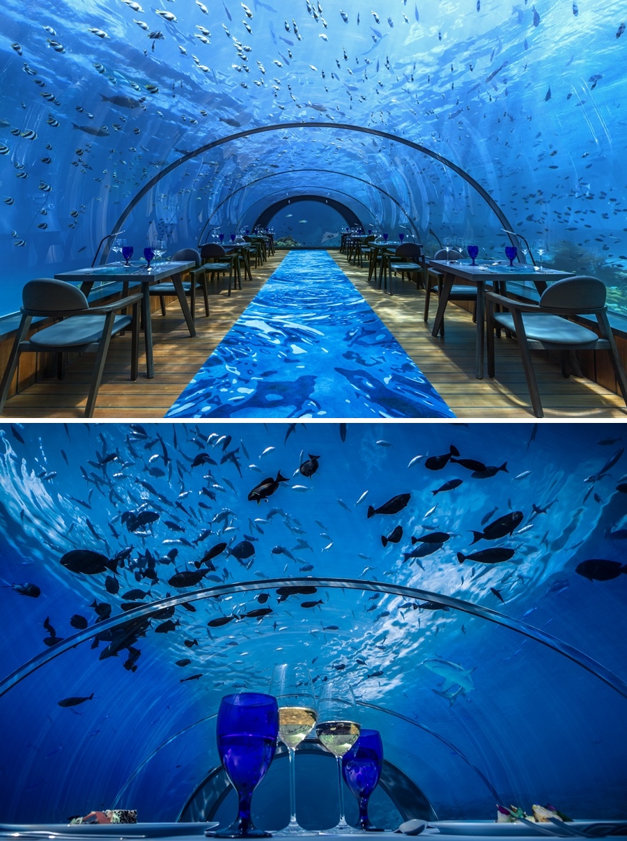 5.8 underwater restaurant
