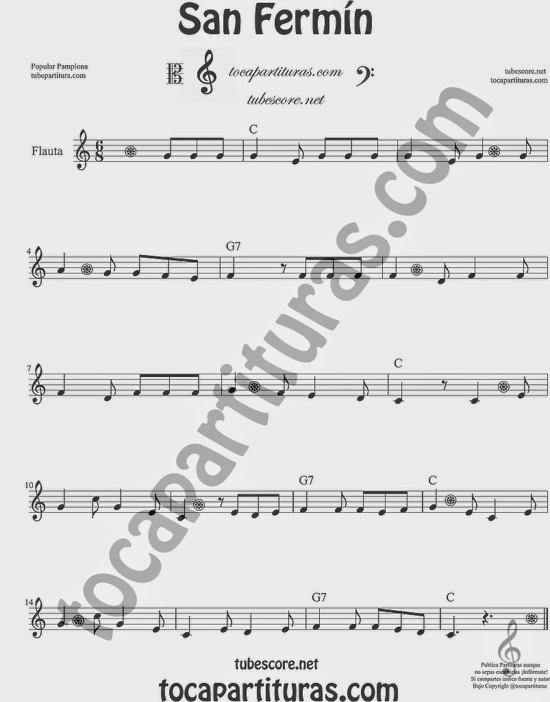  San Fermín Partitura de Flauta Travesera, flauta dulce y flauta de pico Sheet Music for Flute and Recorder Music Scores 