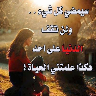 52941_mn66com