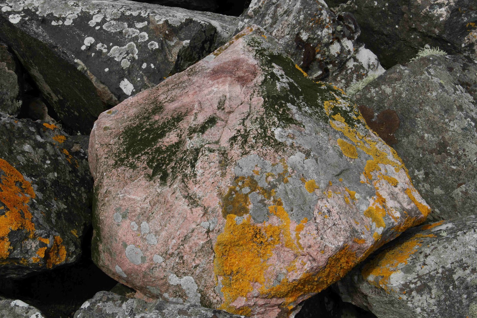 Geology Pretty Rocks U3A Skye Geology: Sheena's pretty rocks day