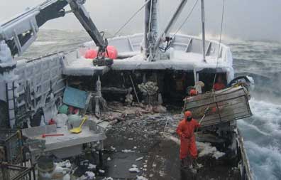 MEC&F Expert Engineers : After recent fishermen killed on the job, the