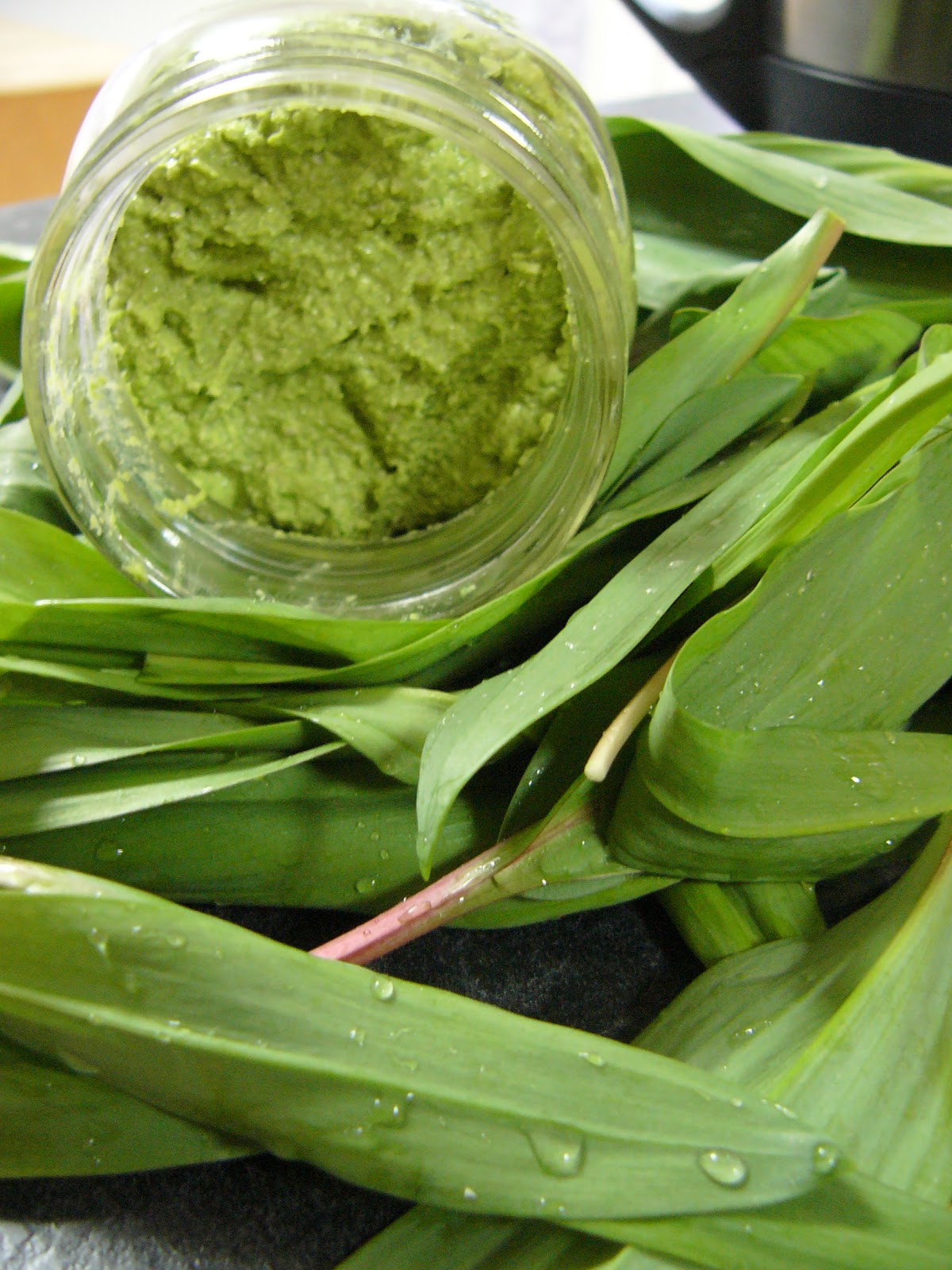 Tebasiles Kitchen: Wild Leek Sunflower / Hemp Spread and Soup