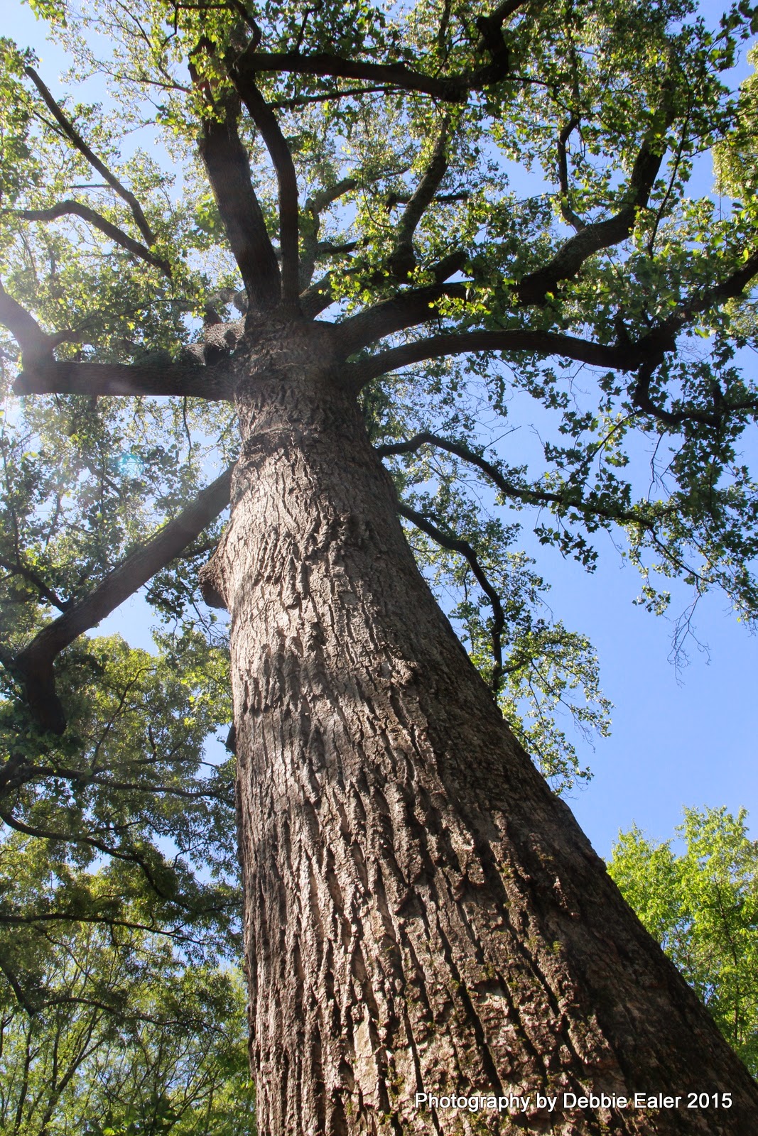 Sometimes you just need to find the light...