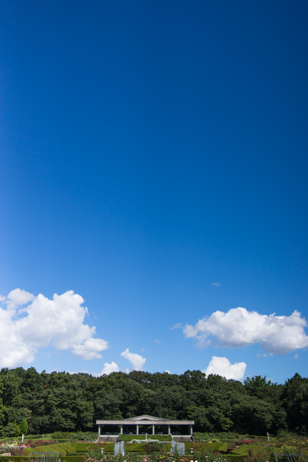 青空と深大寺植物公園噴水広場の写真