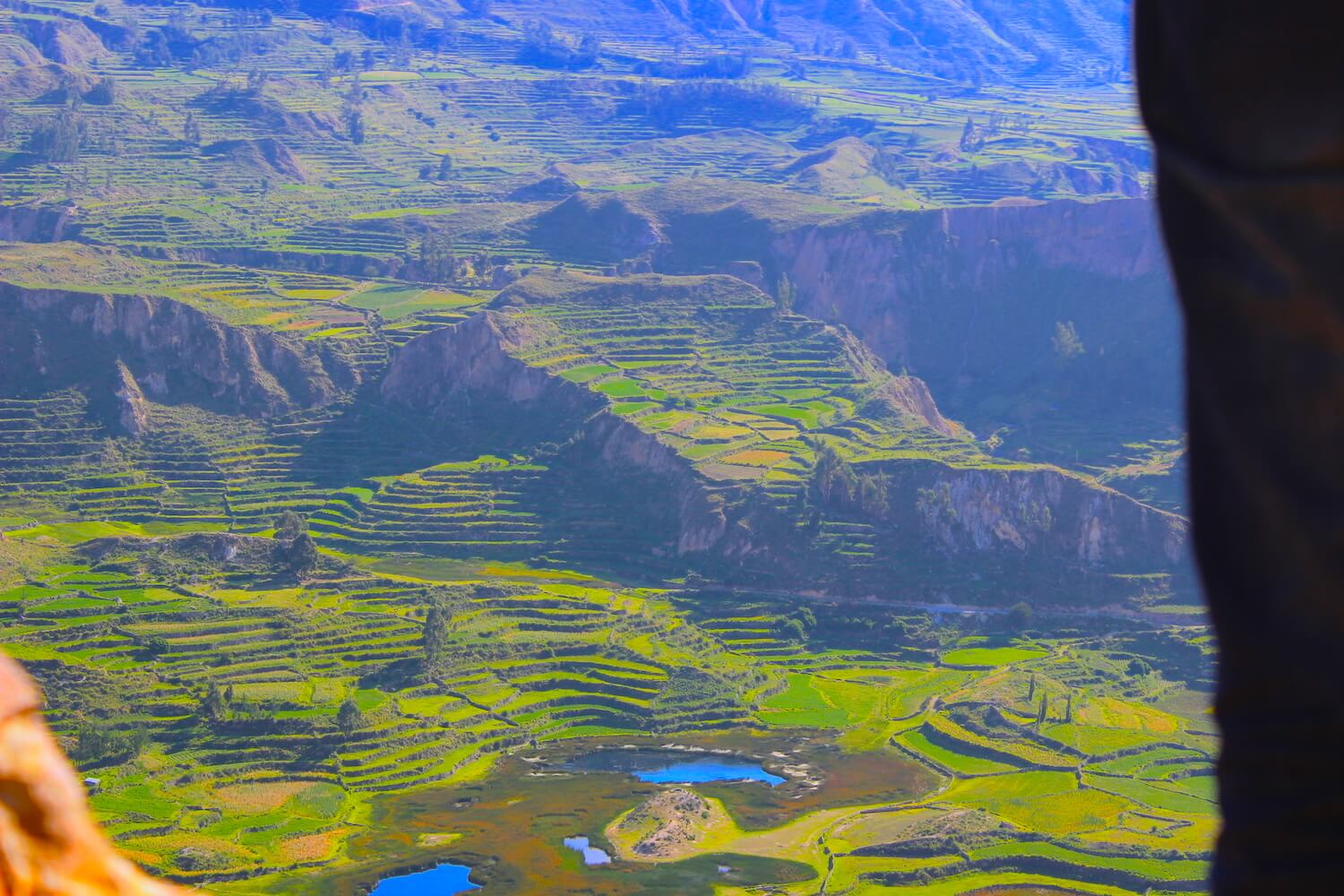 colca valley terraces close up
