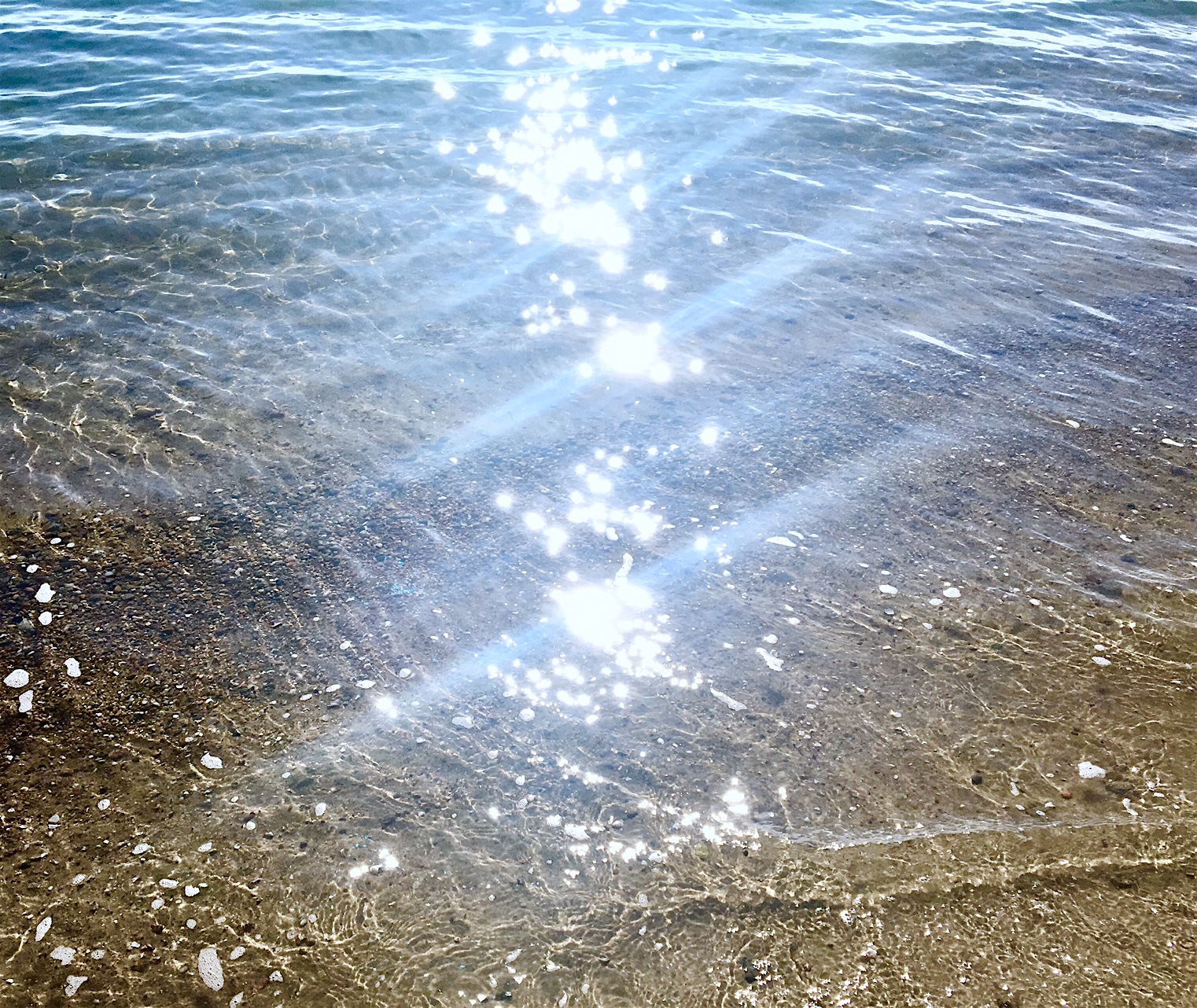 Browsing News Entries | Church of the Transfiguration