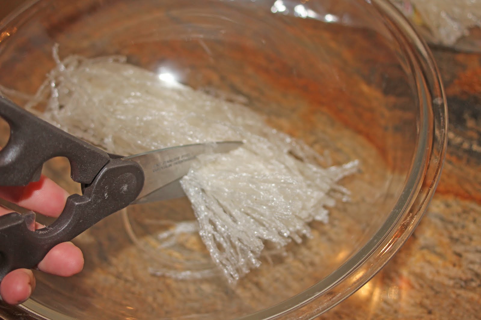 The Grub Files Cooking with Camissonia AgarAgar Salad with Chicken