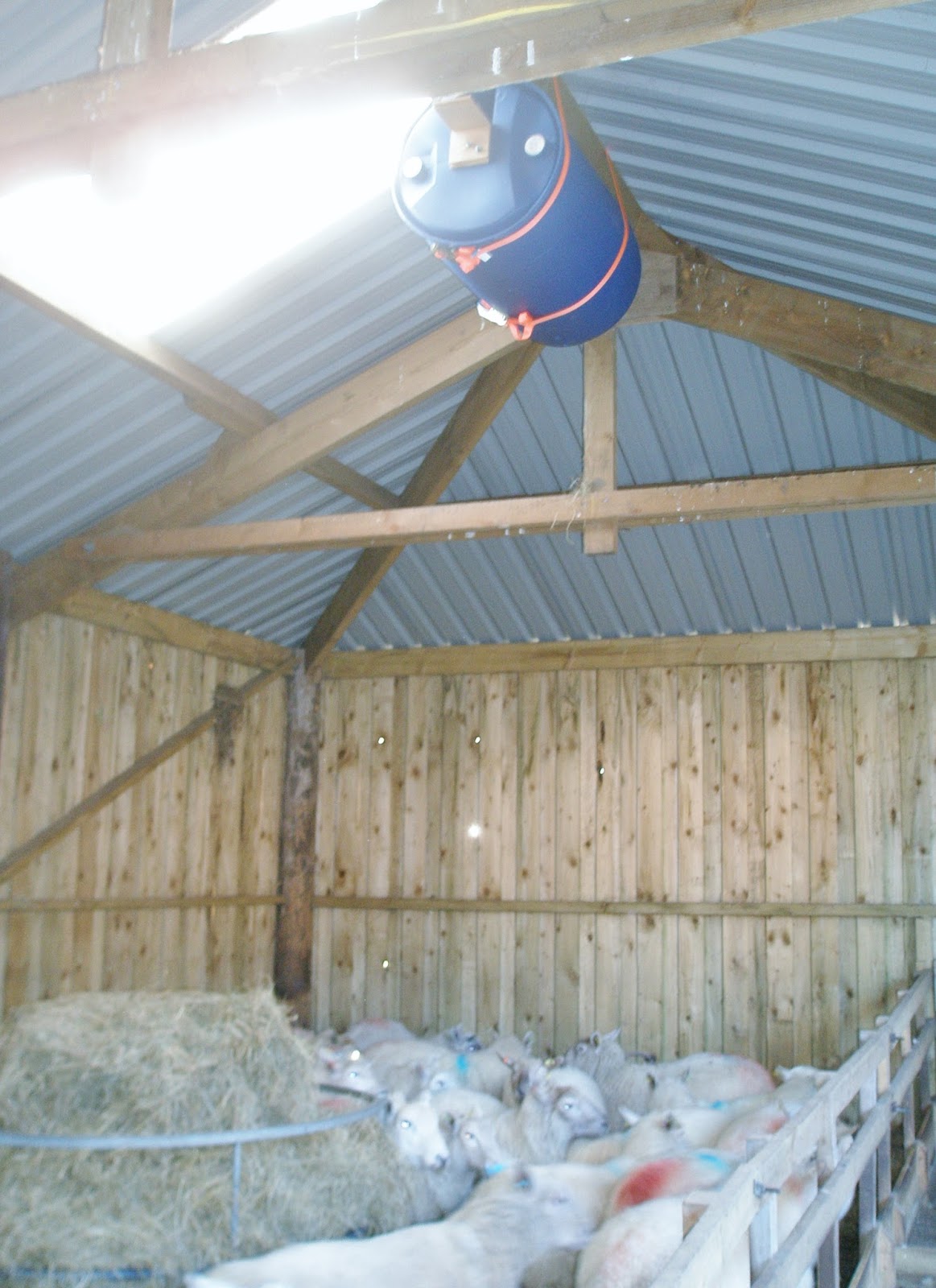 CraigardCroft How to make a pine marten proof Barn Owl nest box