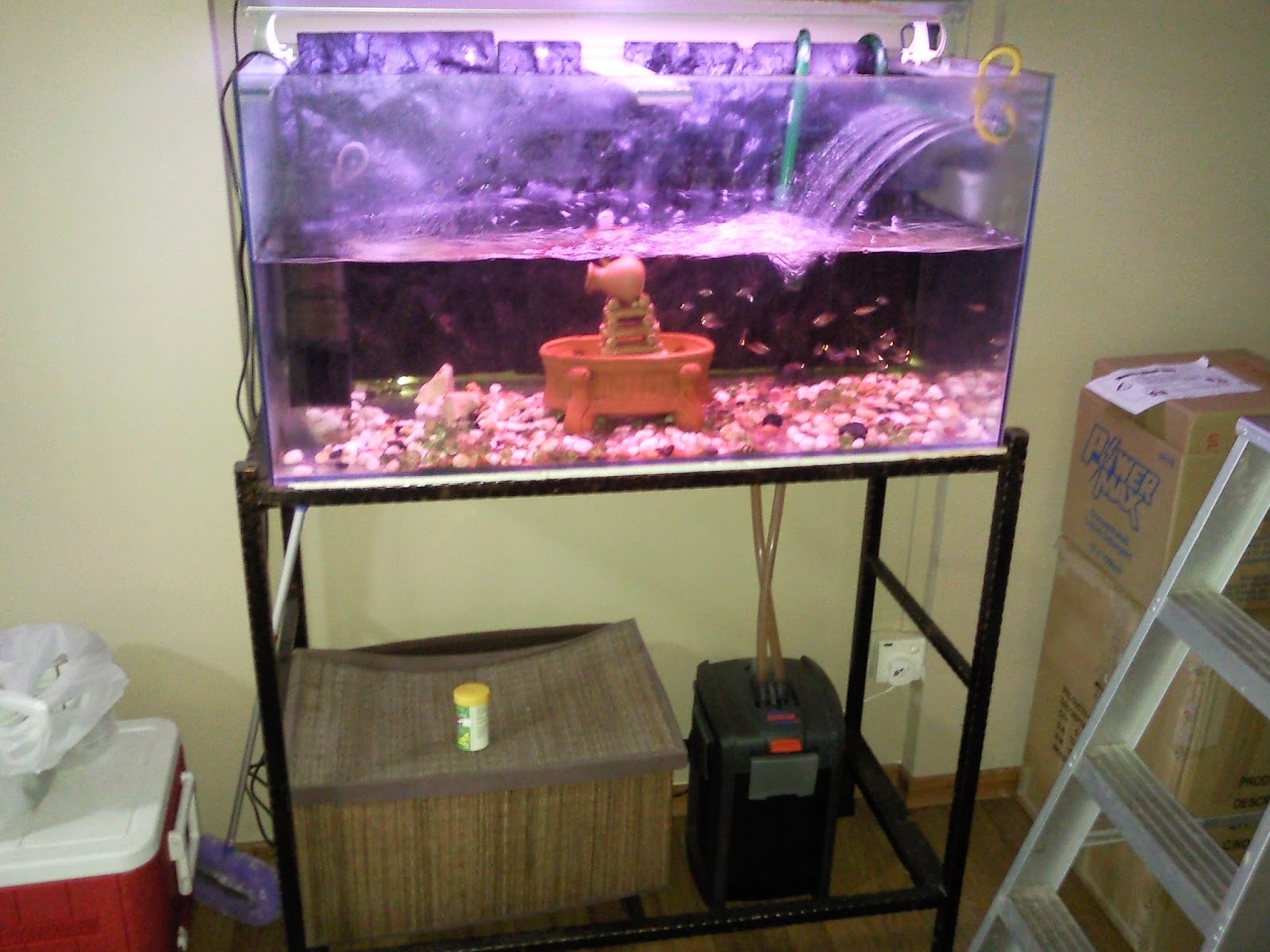 Singapore Big Sale used 3ft fish Tank for Sale near JJC at Jurong West