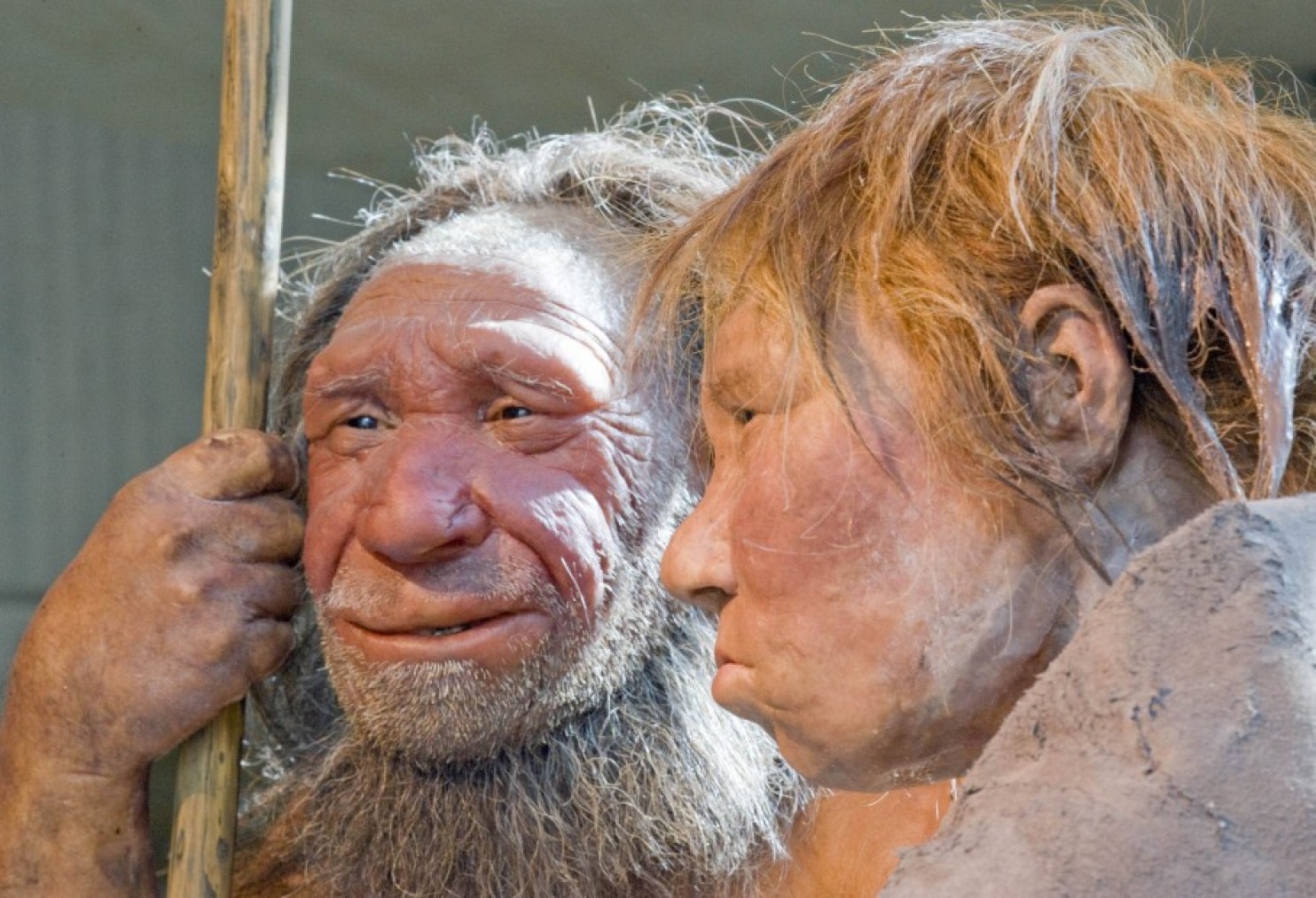 Sally And Sam Humans And Neanderthals May Have Interbred 50 000 Years Sally And Sam Humans And Neanderthals May Have Interbred 50 000 Years
