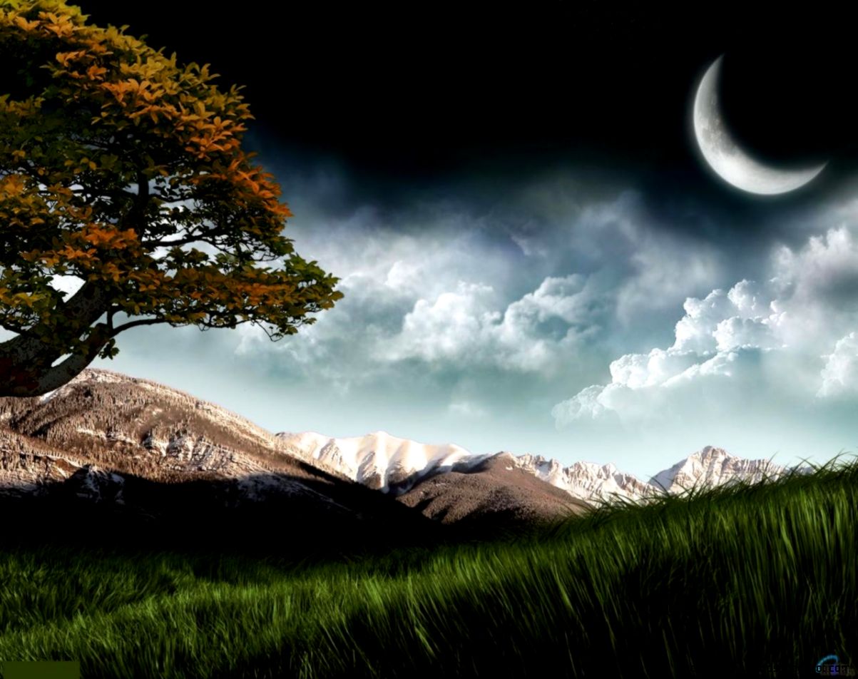 Popular Wallpaper Collection 42