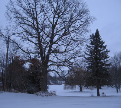Michigan in the snow