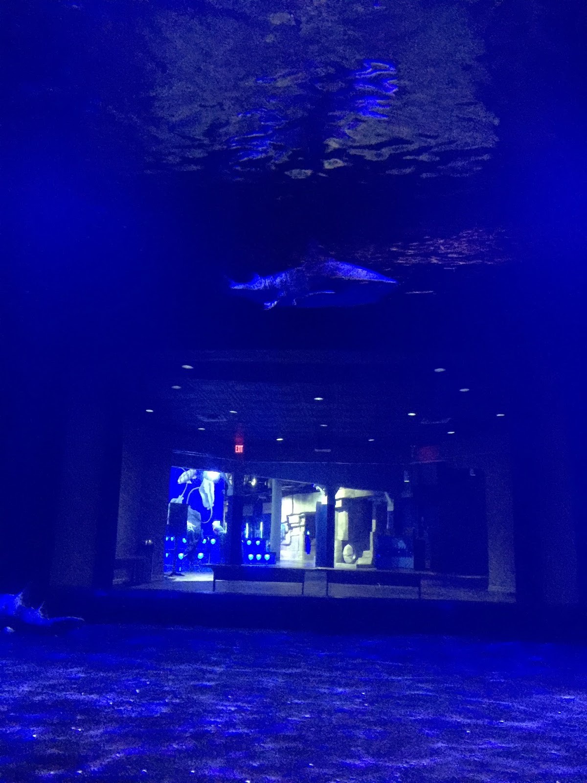 Kelly's Kwips Tulsa Aquarium Visit