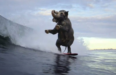 Sistema de Surf Sistema de Surf