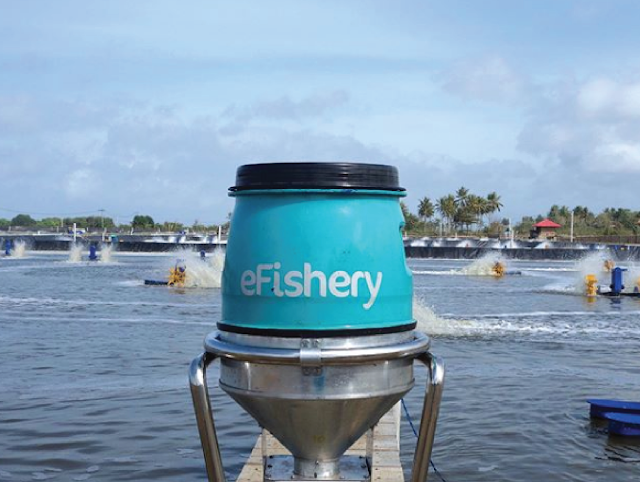 eFishery membawa banyak manfaat