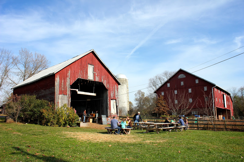 Planted by Streams Rocklands Farm Market