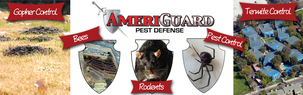 Pest, Termite, Gopher control in Temecula, Murrieta, Hemet, Moreno Valley