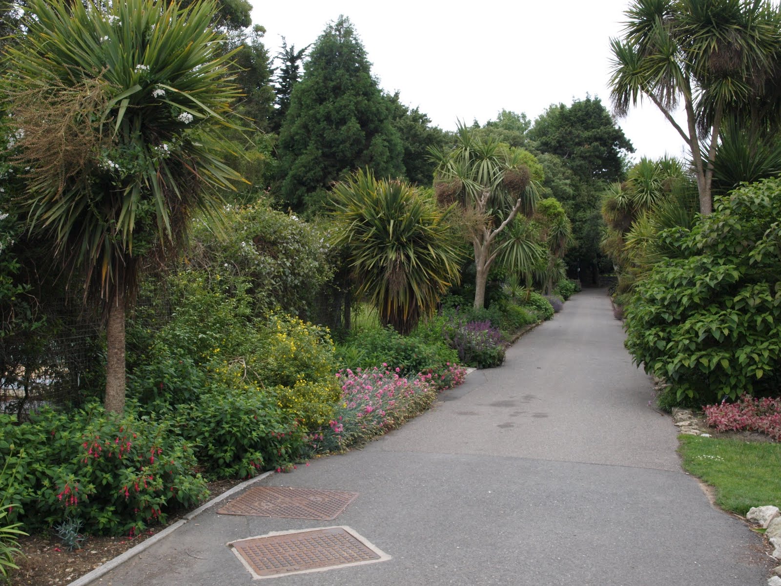 Ragged Robin's Nature Notes Osborne House and a Cream Tea at Ventnor