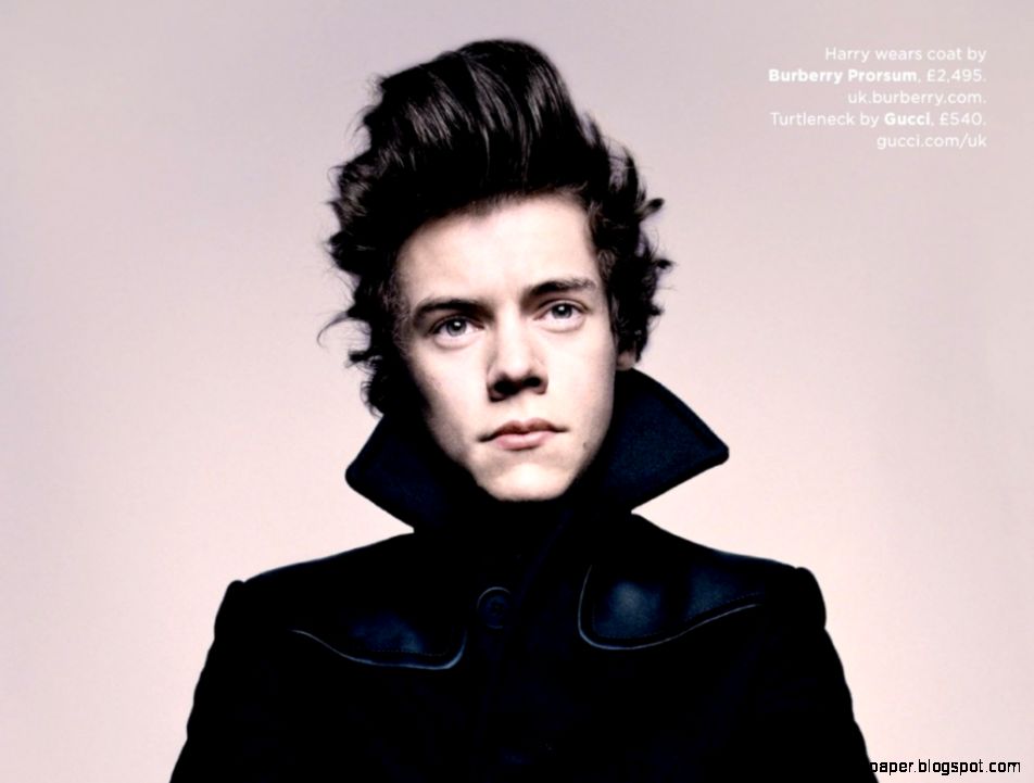Harry Styles Wallpaper   CnMuqi