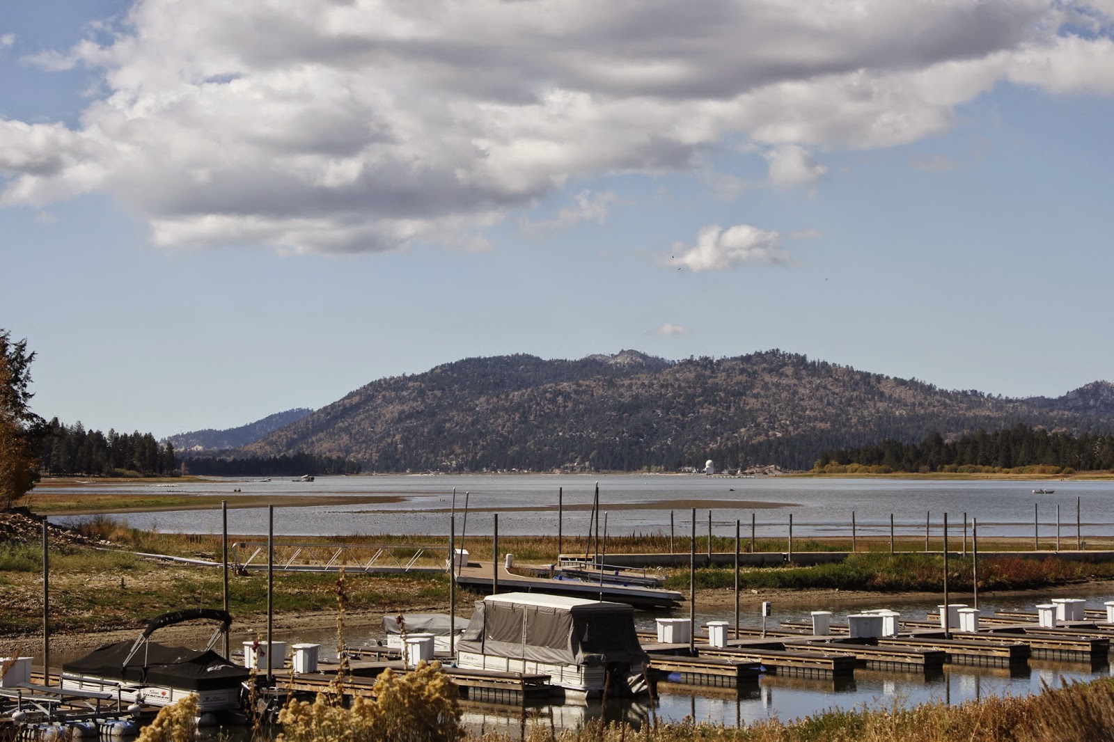 desert horses Baldwin Lake and the drought in California
