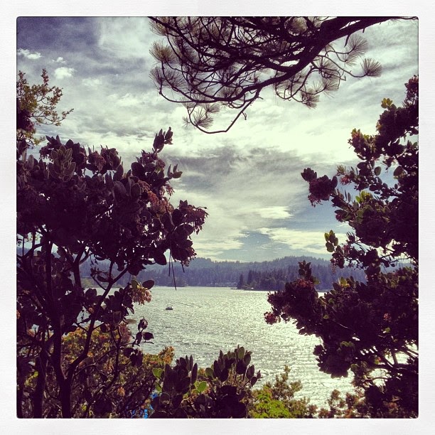 lake through the tress, clouds in the sky