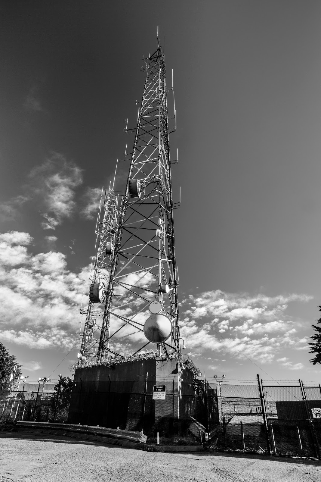 Naturetastic Blog Sutro Tower & Christmas Tree Point (Twin Peaks) San Francisco (Part 5)