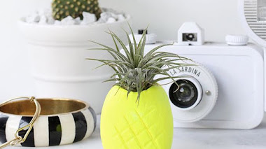 DIY macetero neón con forma de piña