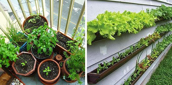 Великолепные идеи для детей на дачном участке.