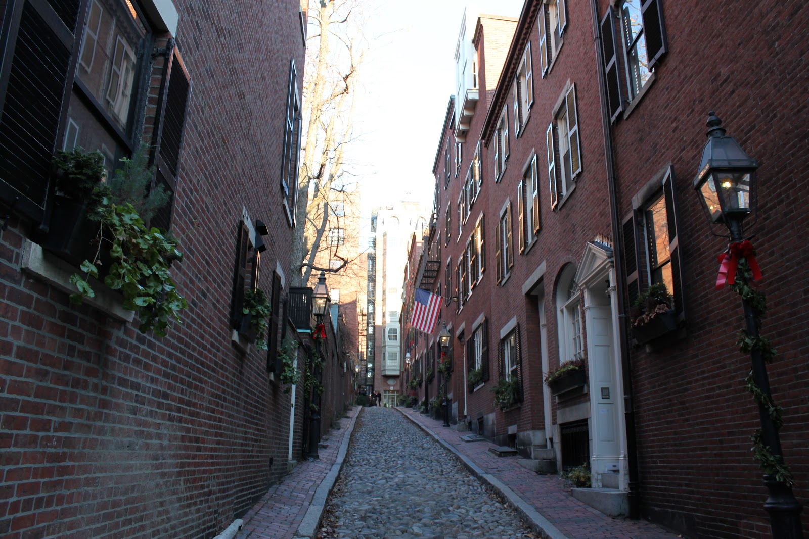 A Lady in Boston : Finding Christmas Atop Beacon Hill