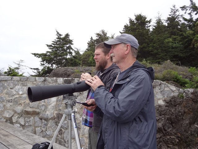Telescope for whales