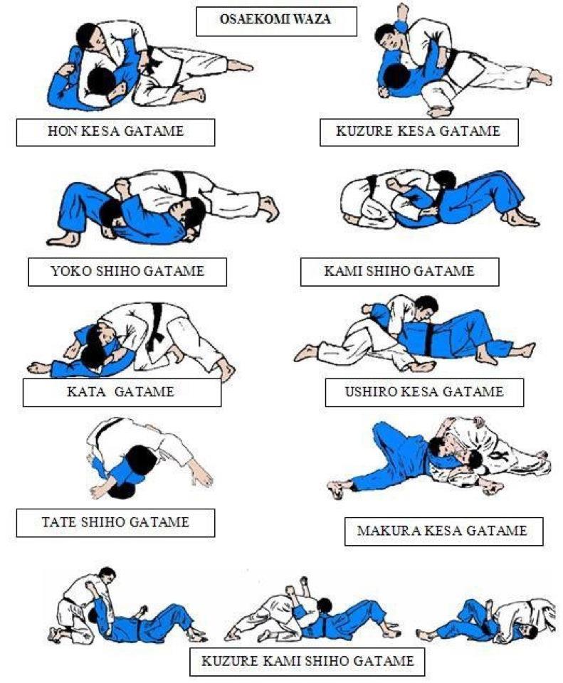 DOJO BUDO RYU KIN´IRO TÉCNICAS DE JIU JITSU DOJO BUDO RYU KIN´IRO TÉCNICAS DE JIU JITSU