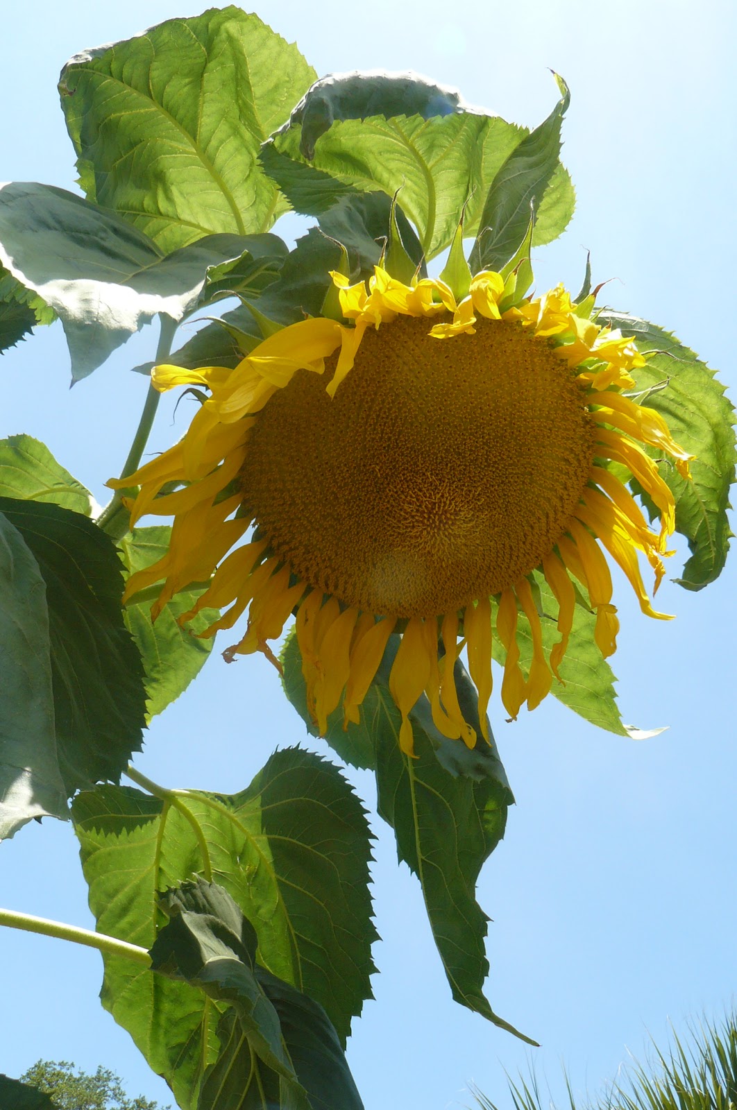 holiday-blog