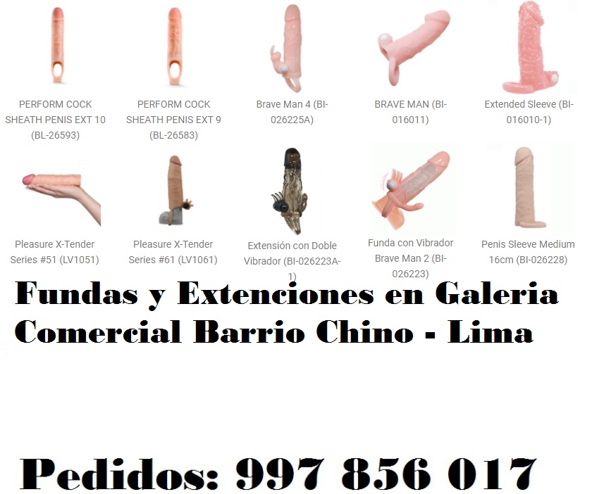 en Galeria Comercial Barrio Chino - Lima