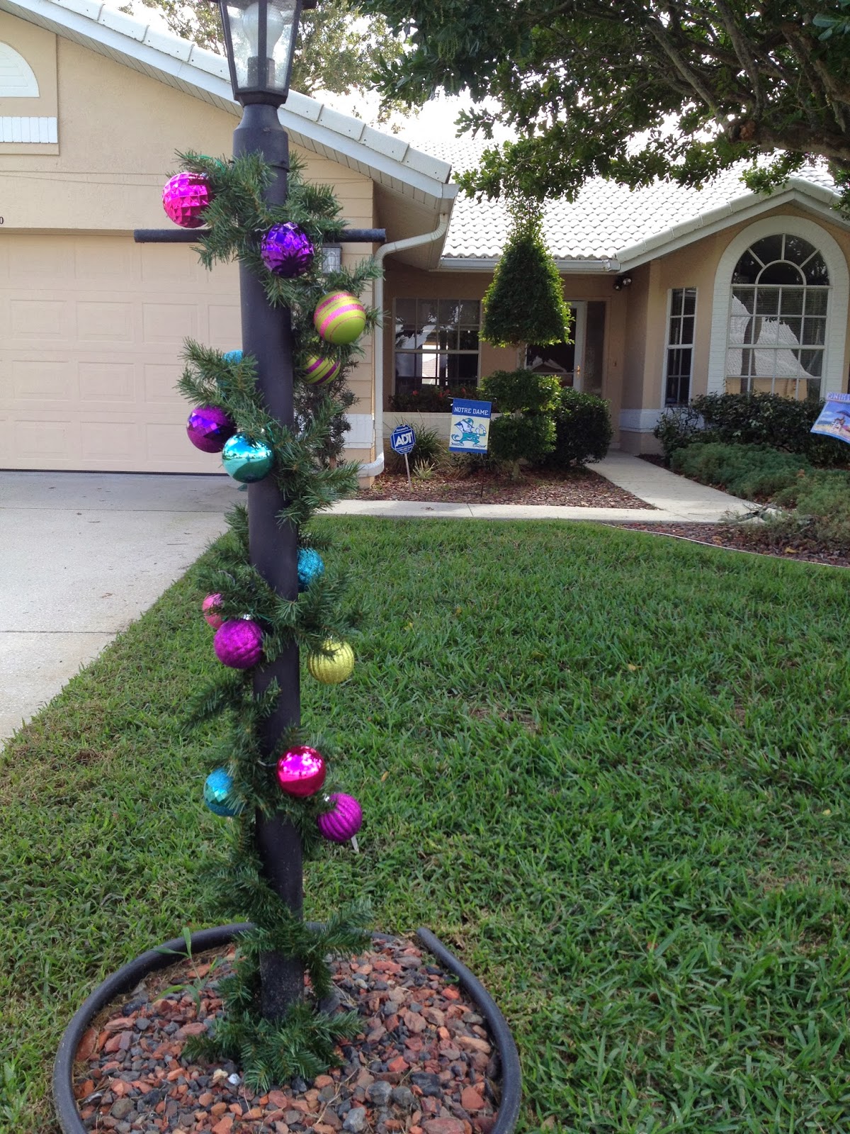 Where's Eldo? How to Find a REAL Christmas Tree in Florida