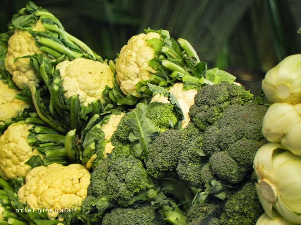 Gitana Studios Highland Vegetables (Baguio City)