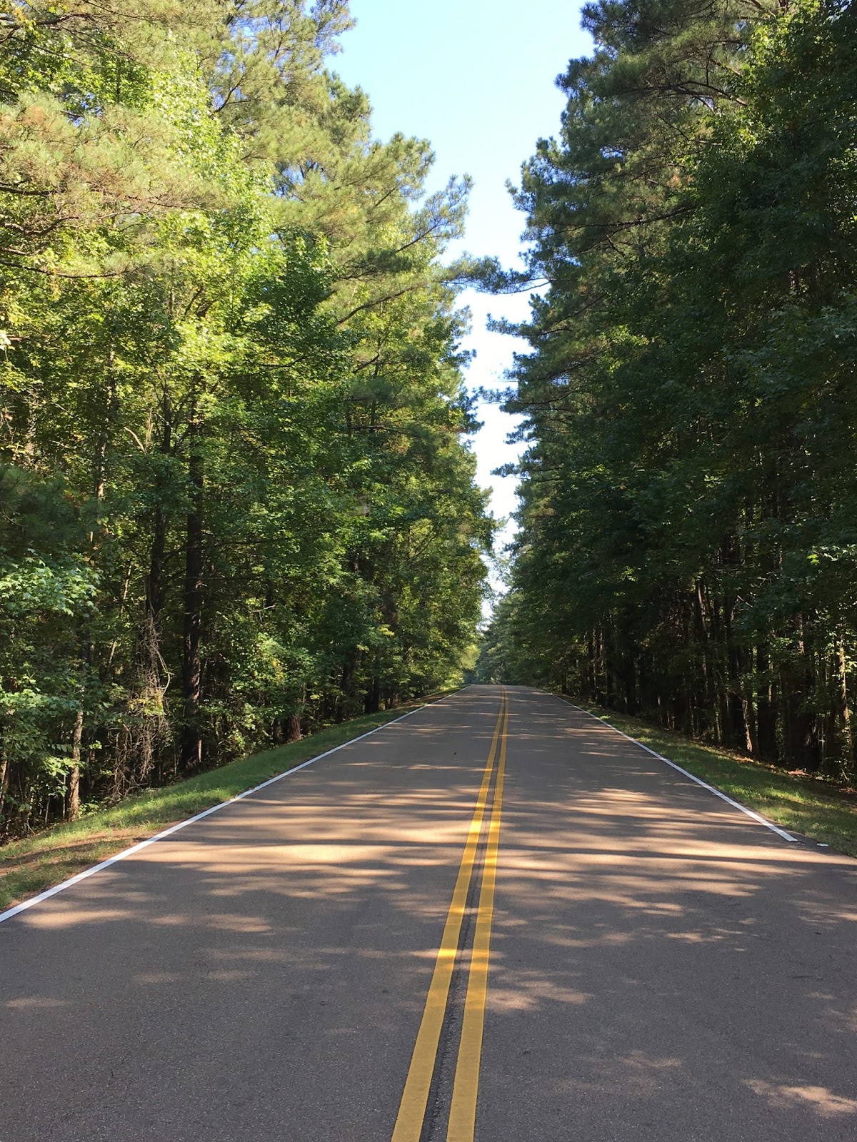 A Catholic Priest in Mississippi Natchez Trace Jackson to Tupelo