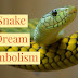 The interpretation of Snake Dreams you should know