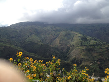 Haitian Mountains