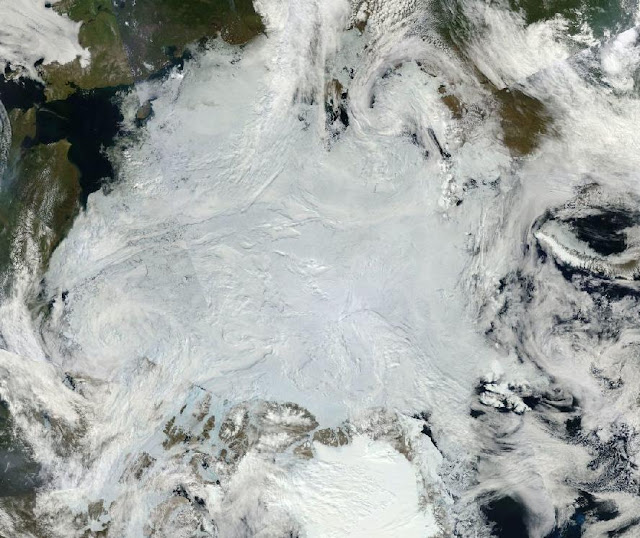 Arktyka - 4 lipca 2015