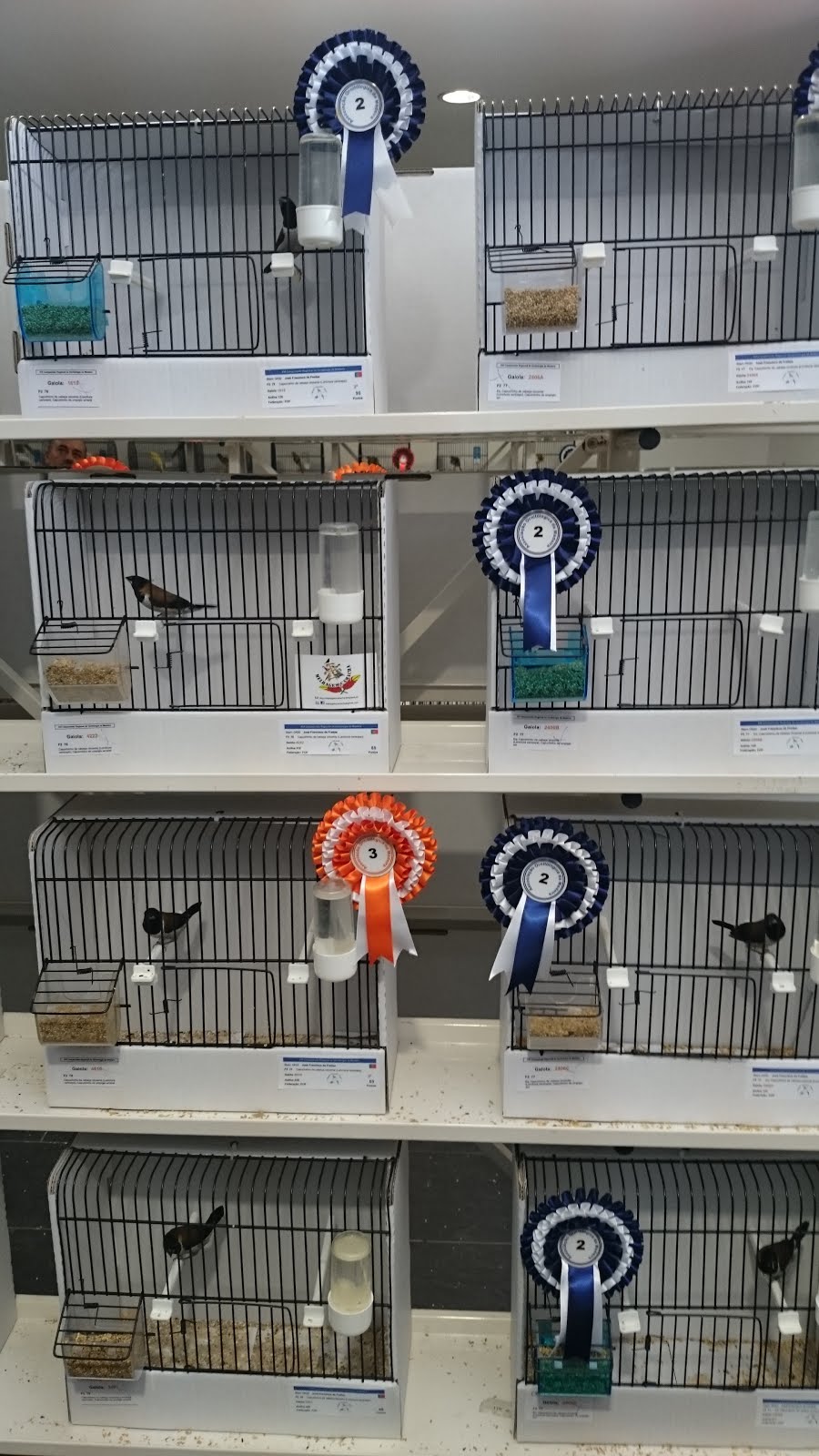 Regional XVI 2015 -4