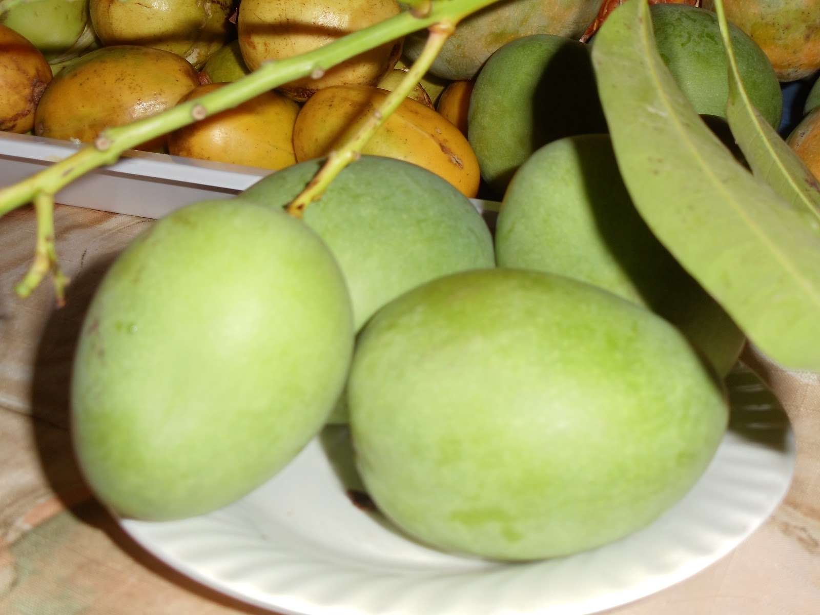 Guyana, meet Evanna. Fruits of Guyana